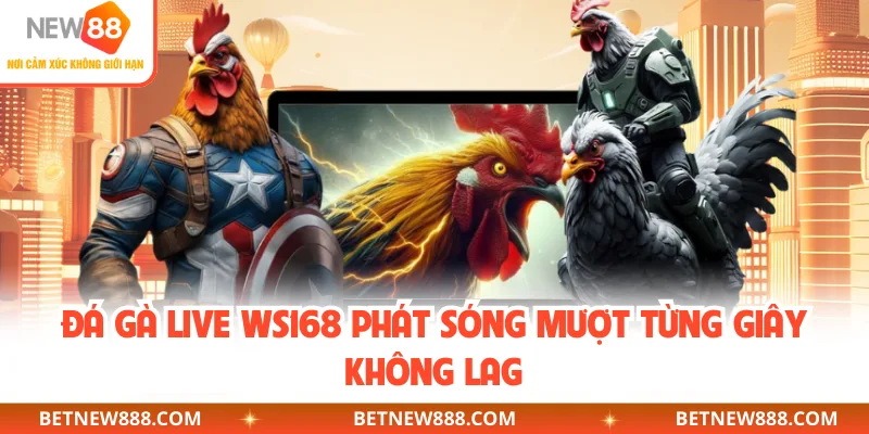 Đá gà live WS168 phát sóng mượt từng giây không lag